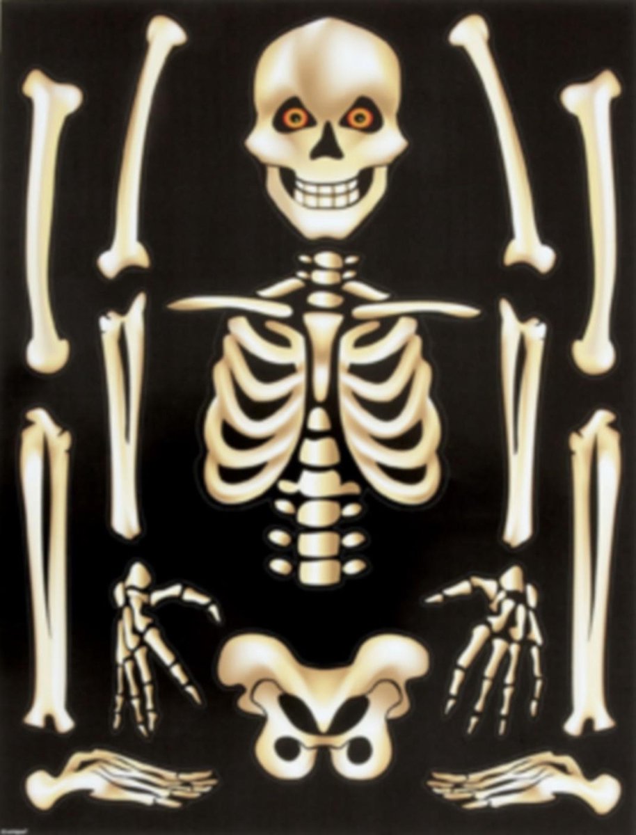 UNIQUE - Halloweenraamstickers met skeletten - Decoratie > Stickers